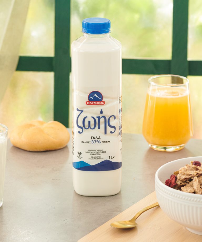 Untitled Catalog75165mm copy