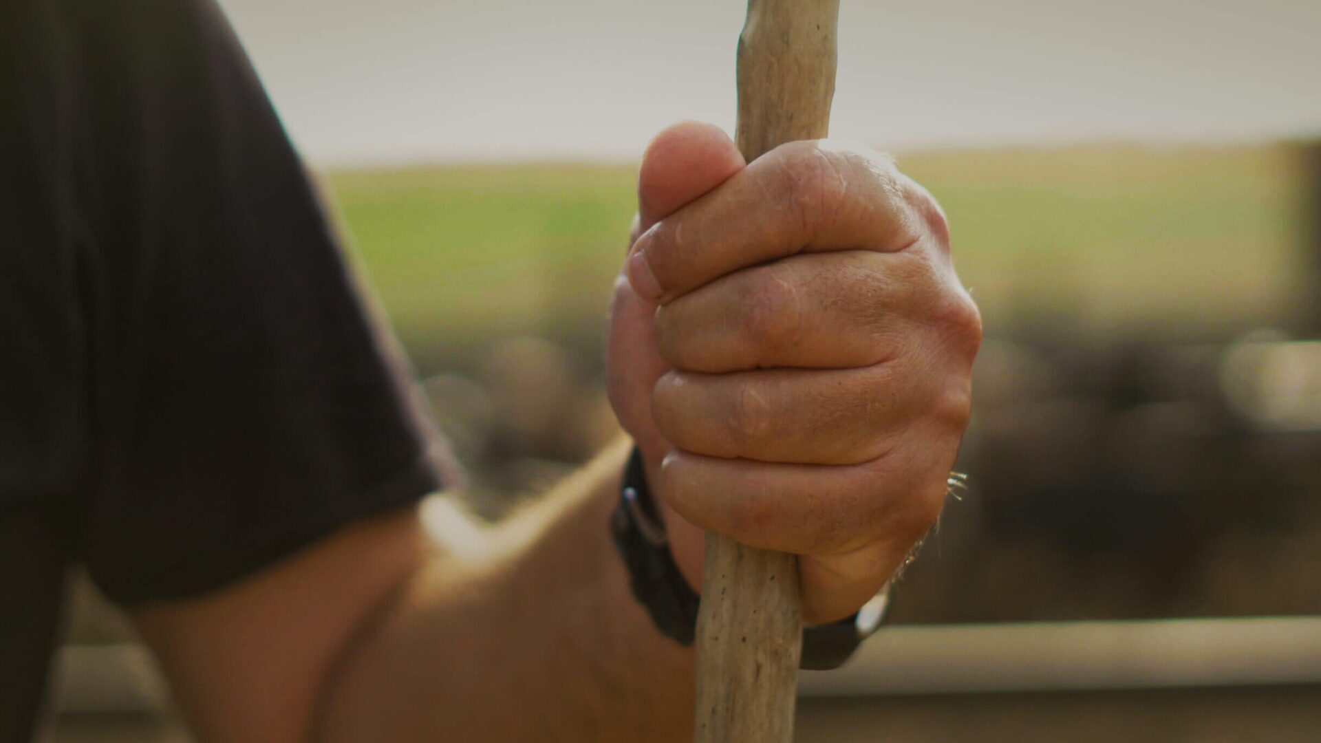 biologikes-farmes1-aspect-ratio-1920-1080