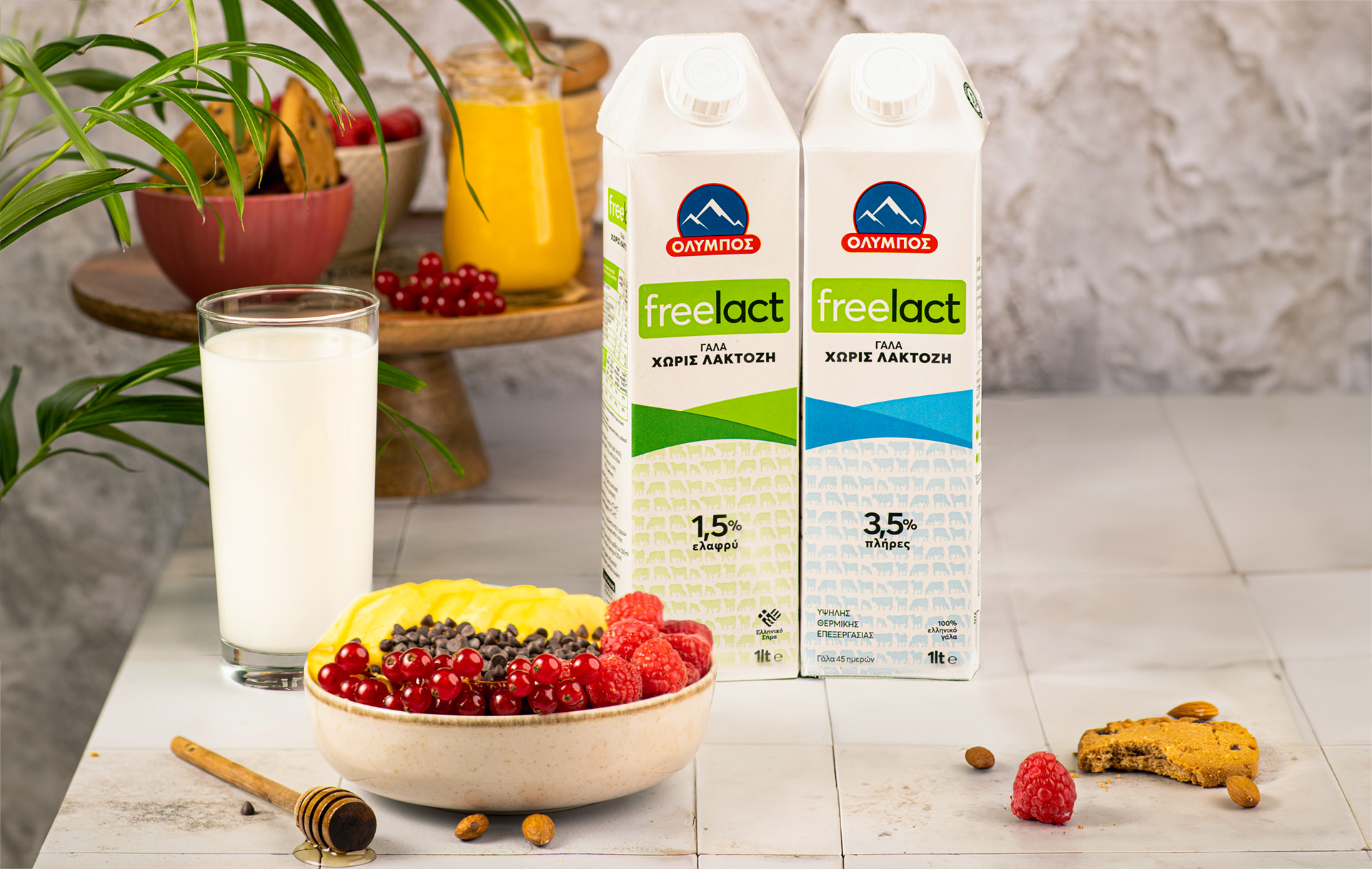 gala-agelados-freelact-elafru-lifestyle