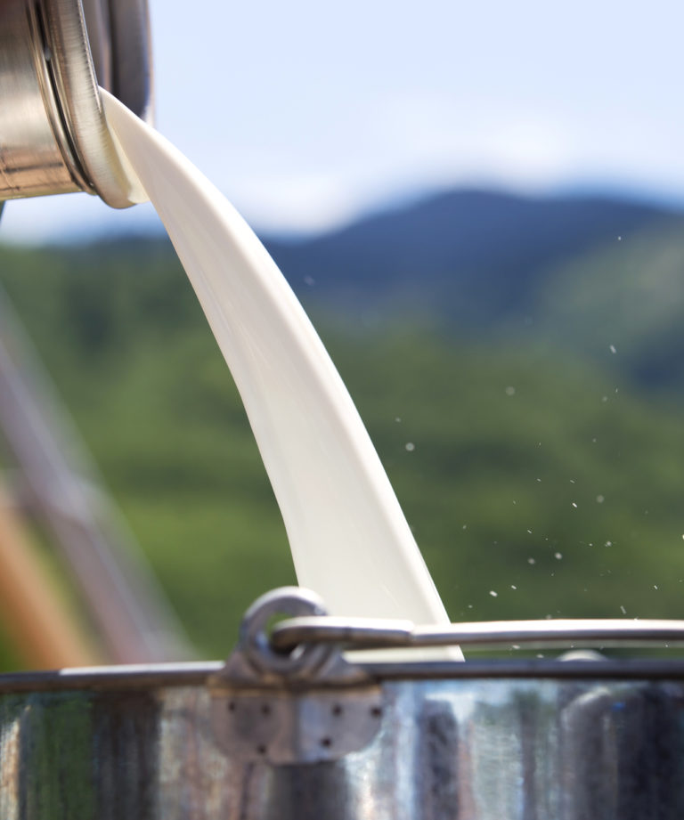 gala-elafri-lifestyle