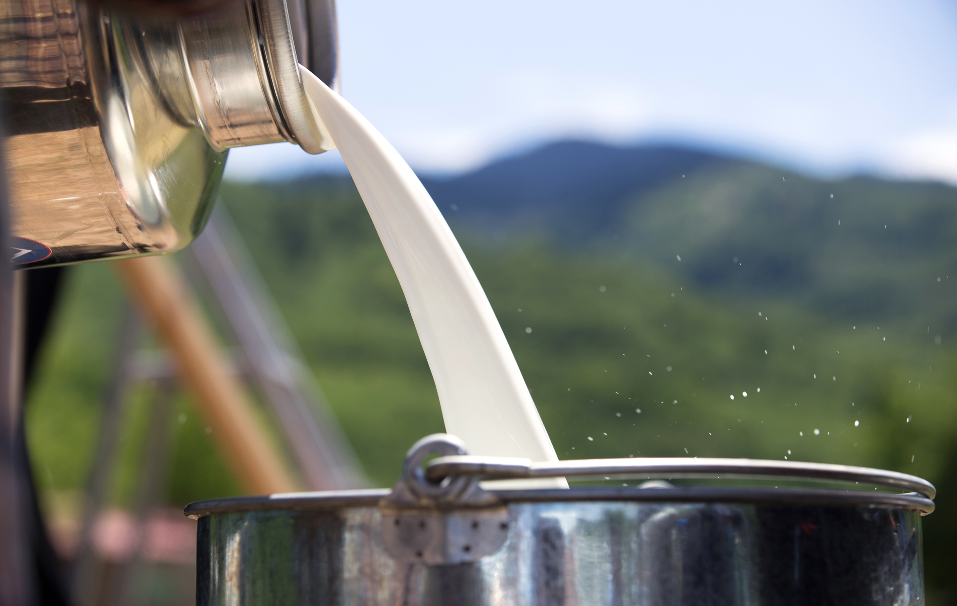 gala-elafri-lifestyle