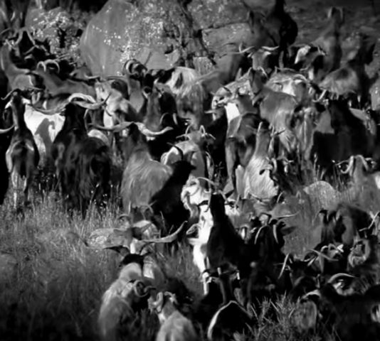 istoria-epilogi-proton-ylwn-aspect-ratio-534-480