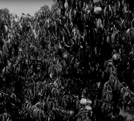 istoria-fusikos-ximos-aspect-ratio-534-480