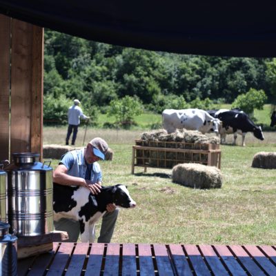 2T1A5126_-3-scaled-aspect-ratio-400-400