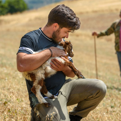 AAA_3880_-scaled-aspect-ratio-400-400