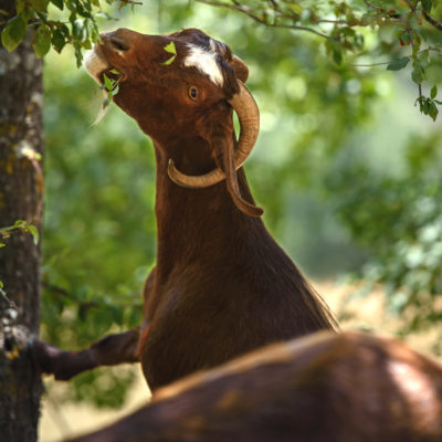 AAA_4698_-scaled-aspect-ratio-400-400