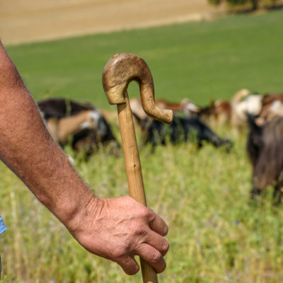 AAA_7700_-scaled-aspect-ratio-400-400