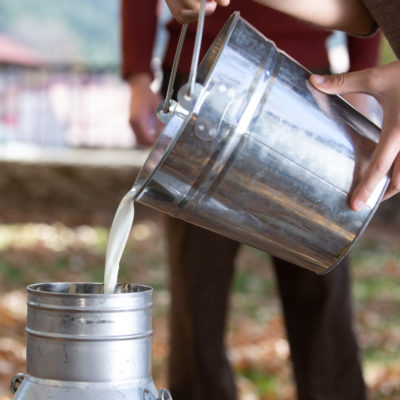 IMG_3941-aspect-ratio-400-400