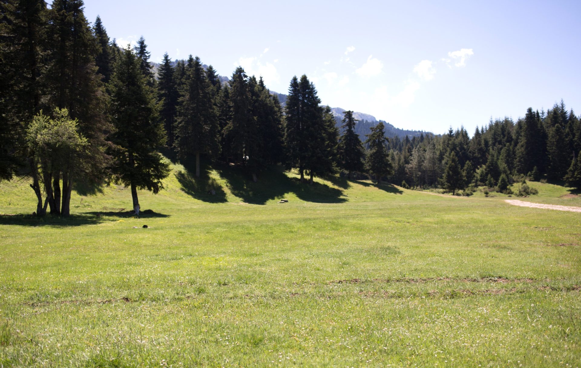 IMG_4133_ - Αντιγραφή