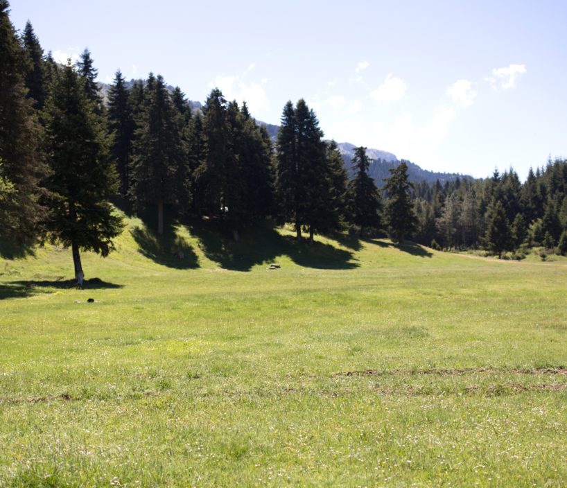 IMG_4133_ - Αντιγραφή