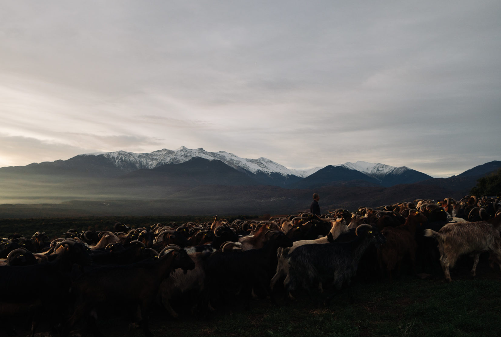 Olympos_00836-aspect-ratio-1654-1114