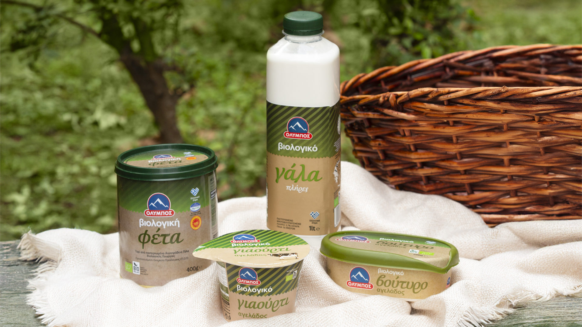 JAZZ5349-2-copy-aspect-ratio-1920-1080