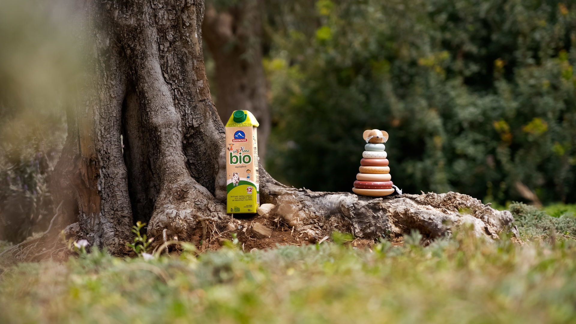 header-bio-aspect-ratio-1920-1080