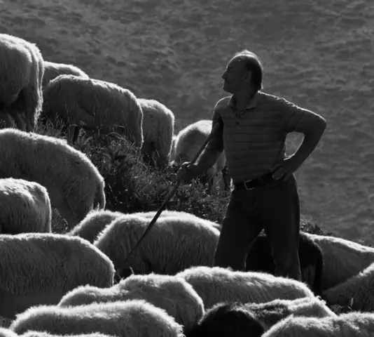 istoria-ellines-voskotopia-aspect-ratio-534-480