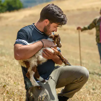 AAA_3880_-scaled-aspect-ratio-400-400