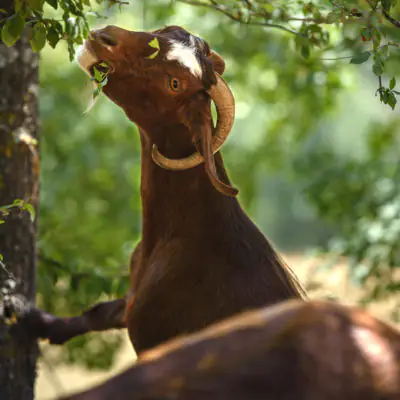 AAA_4698_-scaled-aspect-ratio-400-400