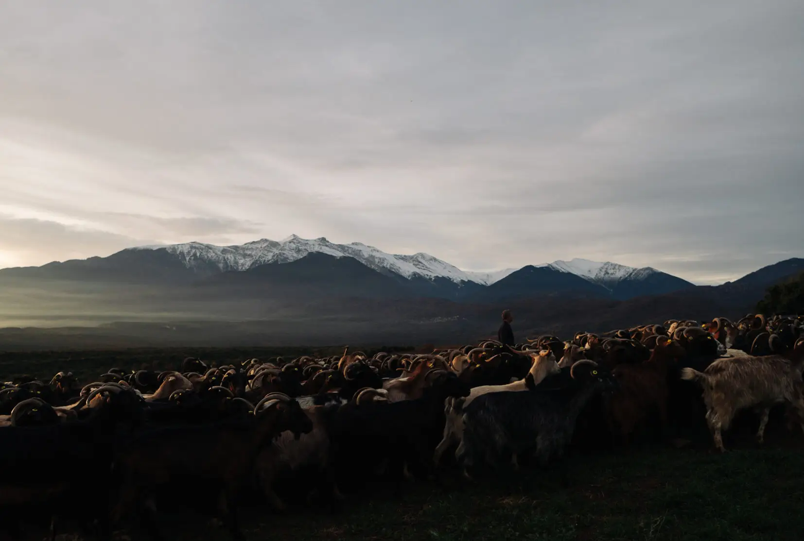 Olympos_00836-aspect-ratio-1654-1114